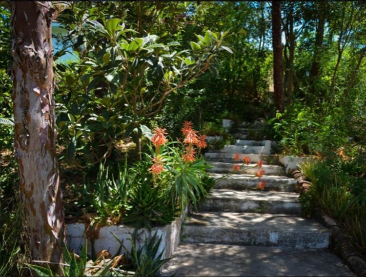 La Barranca De La Barca Bed & Breakfast Alora Exterior photo